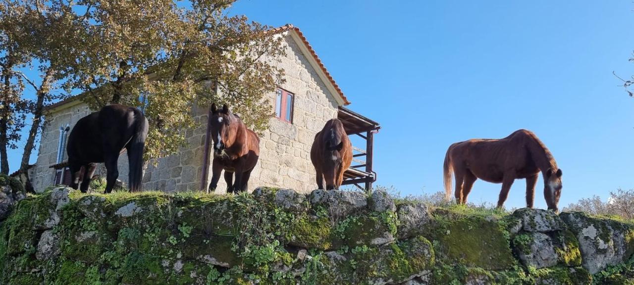 Ferienwohnung Quinta Da Adarnela Lagares da Beira Exterior foto